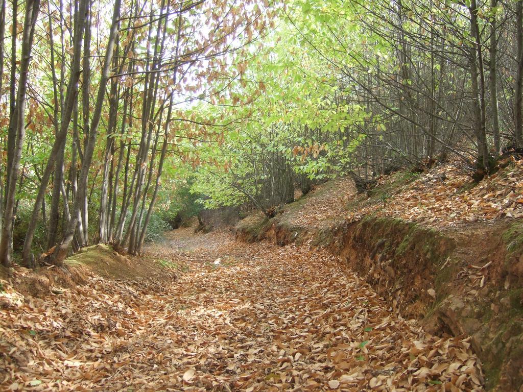 La Nueva Andalusi Villa Cazalla de la Sierra Eksteriør billede